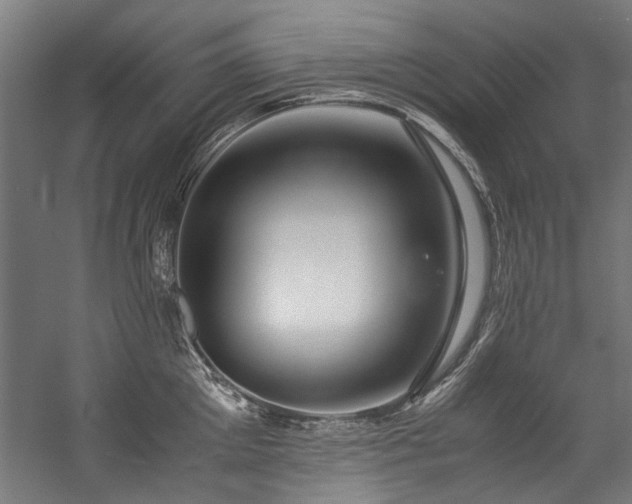 X0000057100905200509121005