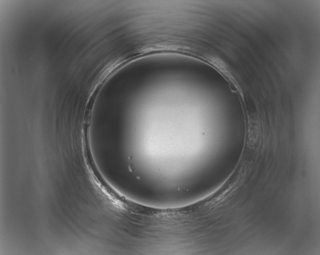 X0000057100906200509121005