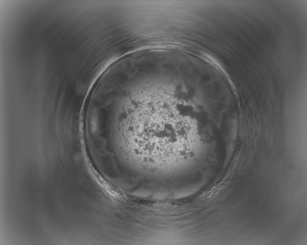 X0000057100907200509121005