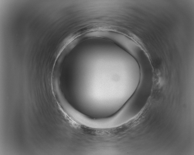 X0000057100909200509121005