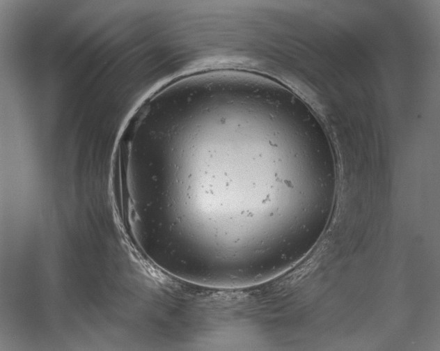 X0000057100912200509121005