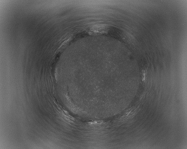 X0000057100915200509121004