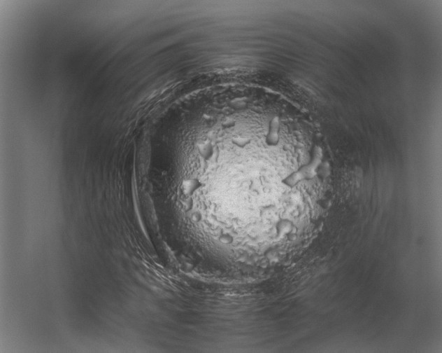 X0000057100917200509121004