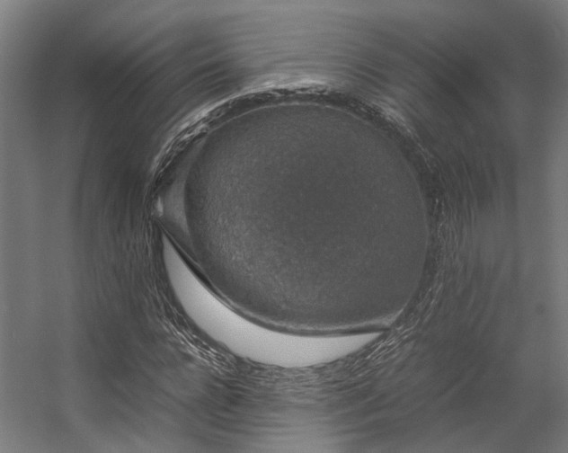 X0000057100920200509121004