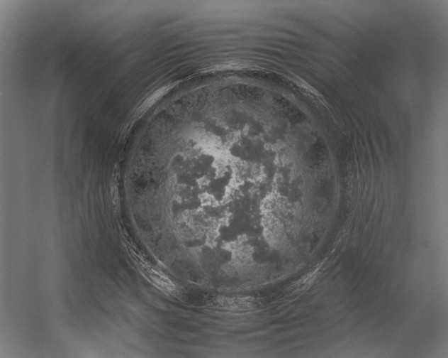 X0000057100921200509121004