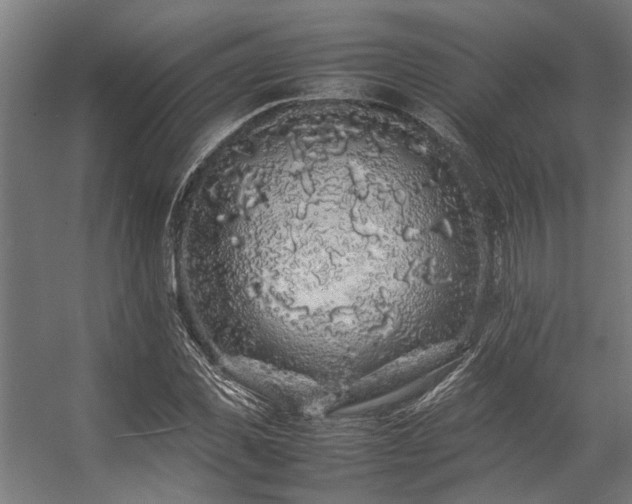 X0000057100925200509121004