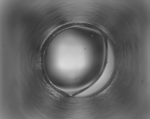 X0000057100926200509121004