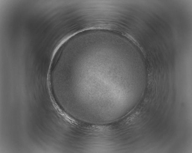 X0000057100928200509121004