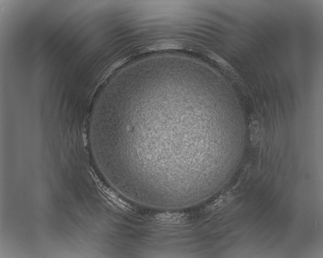 X0000057100929200509121004