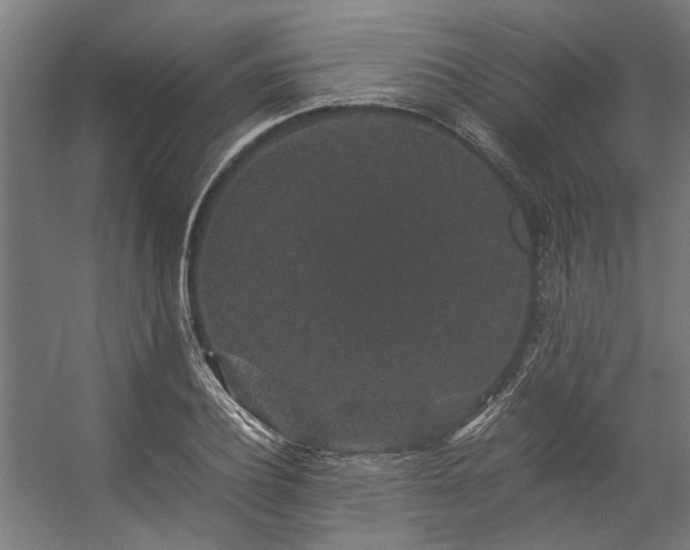 X0000057100932200509121004