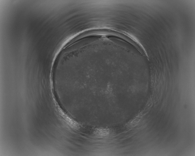 X0000057100935200509121004