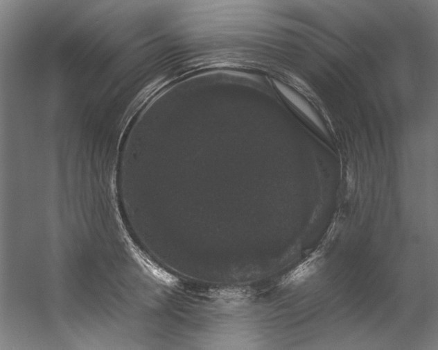 X0000057100946200509121004