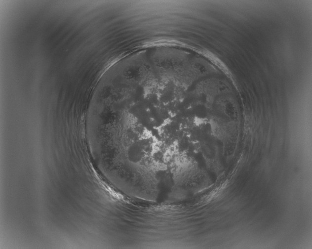 X0000057100953200509121004