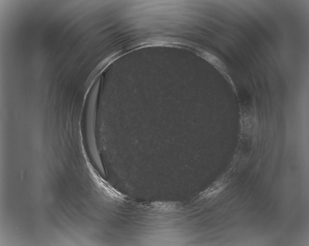 X0000057100954200509121004