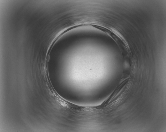 X0000057100956200509121004