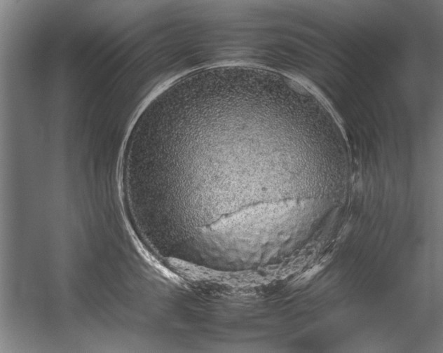 X0000057100957200509121005