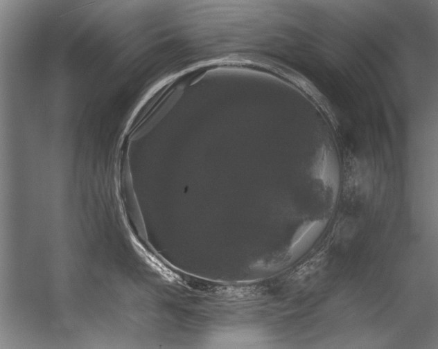 X0000057100958200509121005