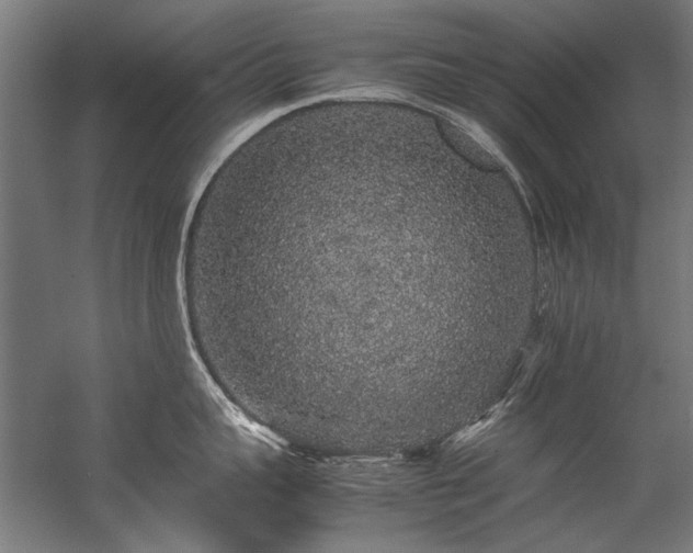 X0000057100959200509121005