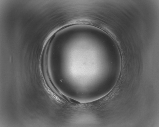 X0000057100960200509121005