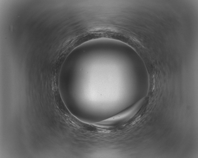 X0000057100965200509121004