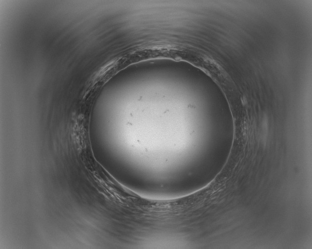 X0000057100968200509121004