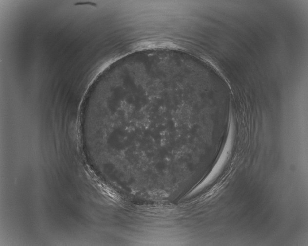 X0000057100975200509121003