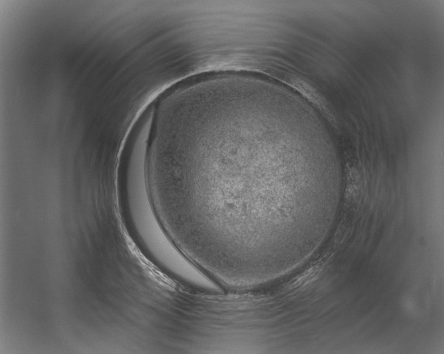 X0000057100980200509121003