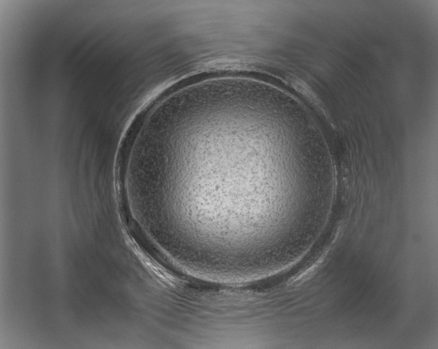 X0000057100981200509121003