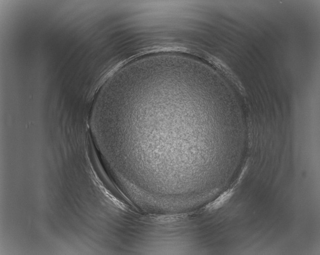 X0000057100985200509121003