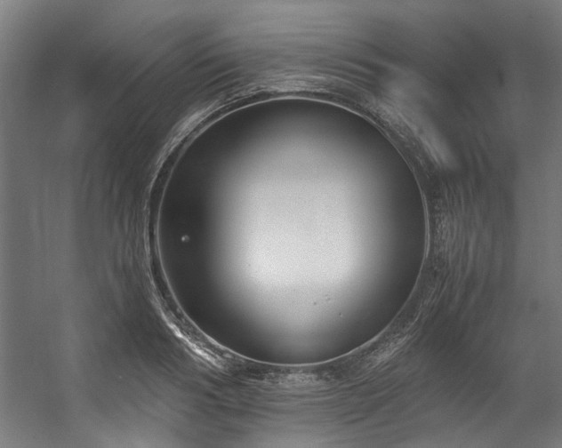 X0000057100986200509121003