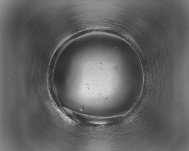 X0000057100991200509121003