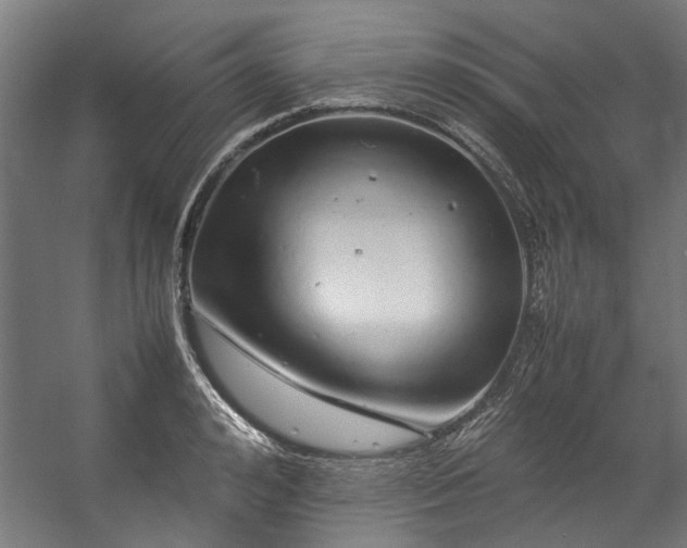 X0000057100992200509121003