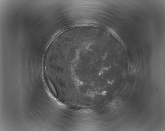 X0000057100994200509121003