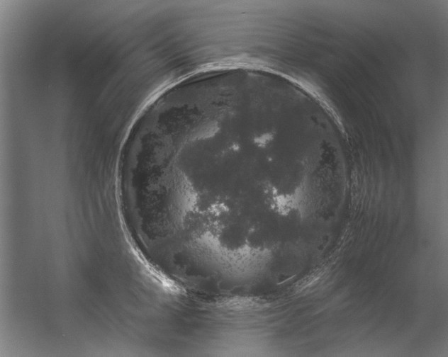 X0000057100998200509121003