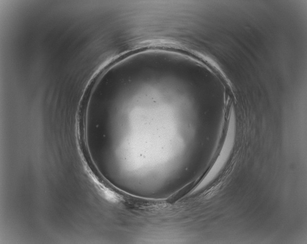 X0000057100999200509121003