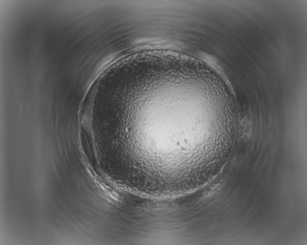 X0000057101002200509121003