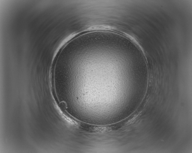 X0000057101003200509121003