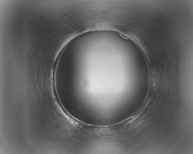 X0000057101006200509121003