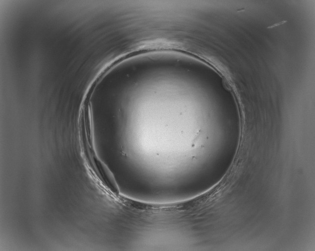 X0000057101008200509121003