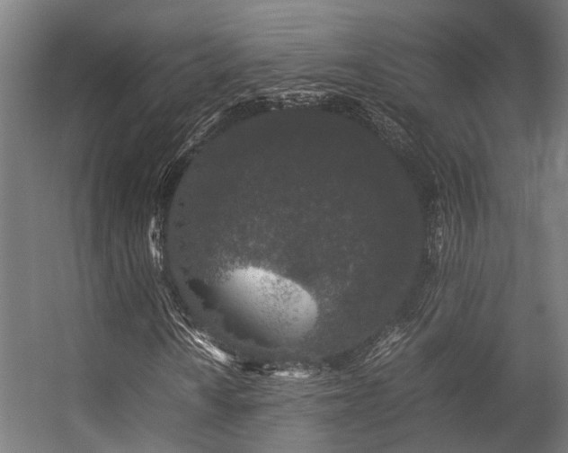 X0000057101010200509121002