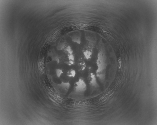 X0000057101011200509121002