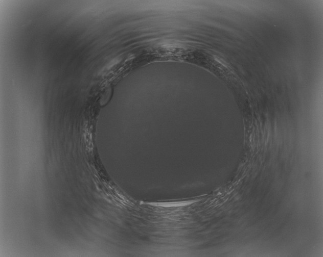 X0000057101013200509121002