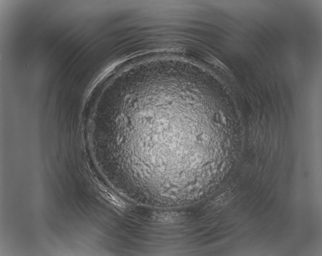 X0000057101019200509121002