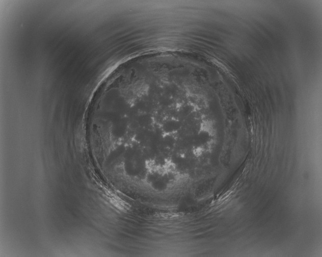 X0000057101023200509121002