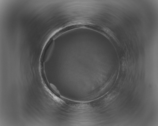 X0000057101024200509121002