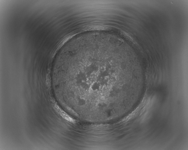 X0000057101025200509121002