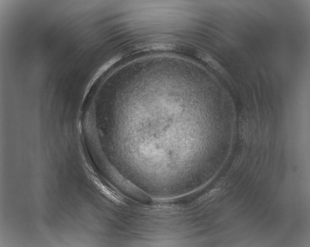 X0000057101026200509121002