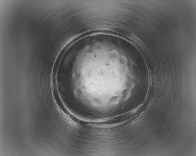 X0000057101028200509121002