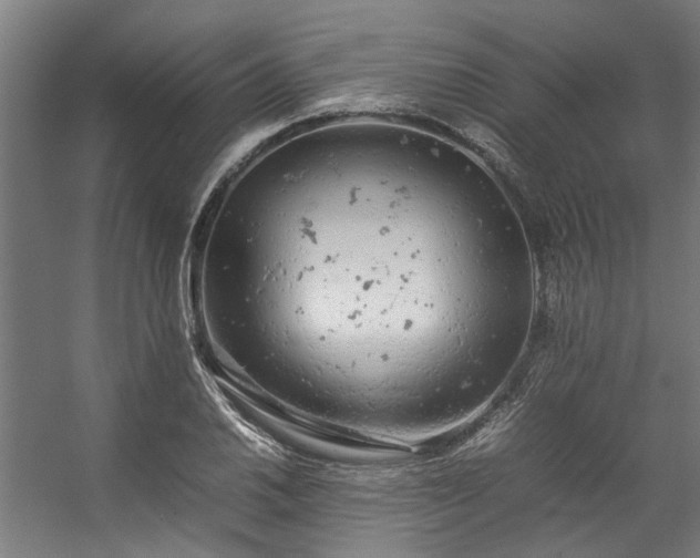 X0000057101030200509121002