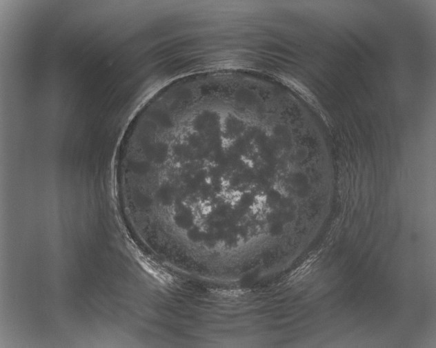 X0000057101031200509121002